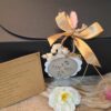 Coffret Lou Bèu - Le Grand Cocon